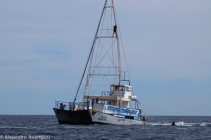 Fotografo en el Carajo del Catamaran de Avistaje de ballenas