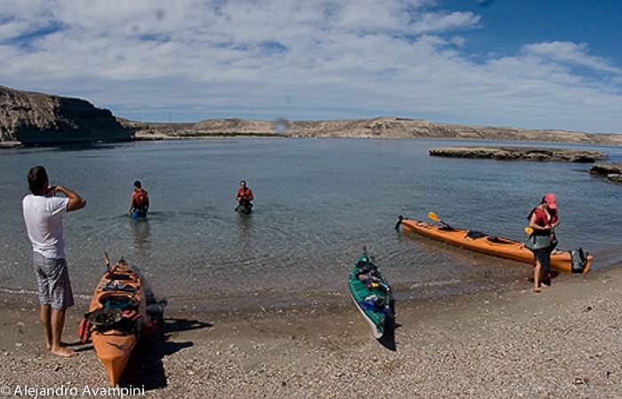 Expedición Kayaks fauna marina Valdes Peninsula