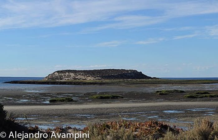 Island of birds at low tide - Peninsula Valdes