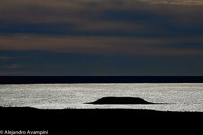 Isla de los Pájaros
