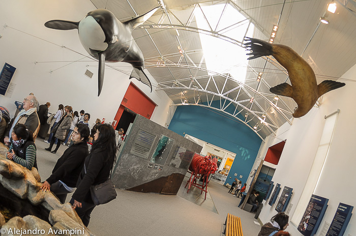 Museen über das Meer in Puerto Madryn