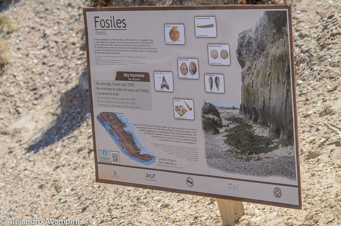 Placa com informação dos fossiles da região