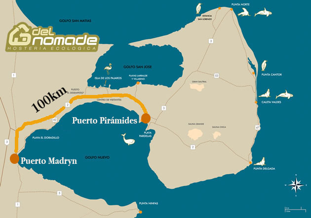 Mapa de avistajes de ballenas en Peninsula Valdes Puerto madryn Piramides