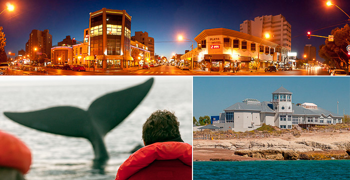 Whale watching Puerto Madryn