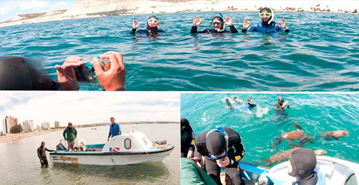 Buceo snorkel en Reserva Punta Loma Puerto Madryn