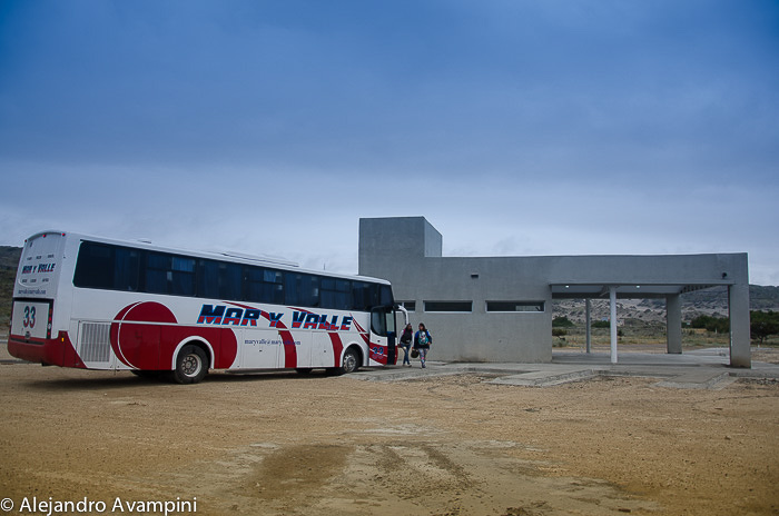 The bus terminal of Puerto Piramides