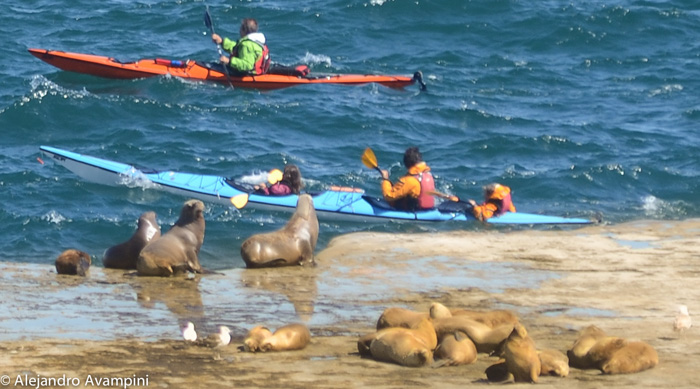 excursion en kayak à Punta Piramide