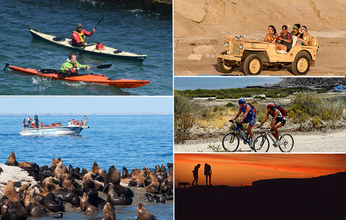 Ways to visit Punta Piramide
