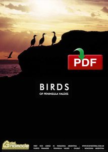 Peninsula Valdes Birds Guide