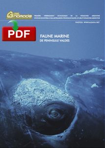 Marine Fauna Peninsula Valdes Guide
