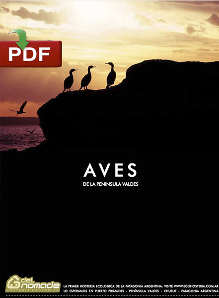 Guia de Aves Peninsula Valdes - PDF