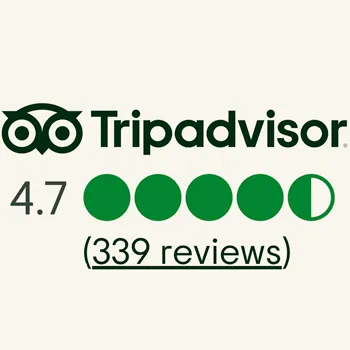 Tripadvisor Reviews