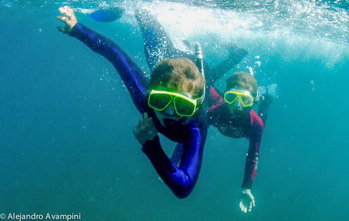 Apnea -Scuba Dive - Peninsula Valdes