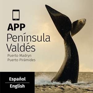 APP de Península Valdes Guia de atractivos turísticos locales e Puerto Madryn y Puerto Piramides