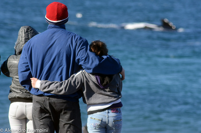 whale watching Puerto Madryn - Pensula Valdes - Patagonia Argentina