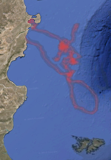 Recorrido satelital de ballena franca austral - Patagonoa Argentina
