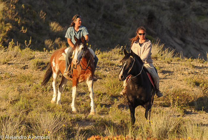 Cabalgatas en Puerto Piramides