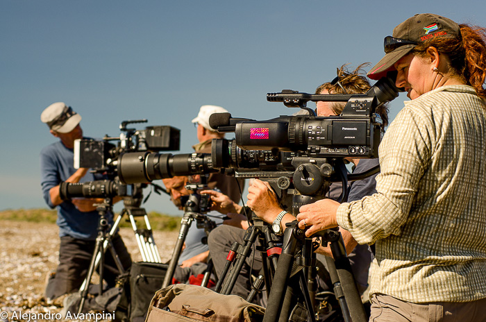 Filmaker in Punta Norte - Orcas Season Peninsula Valdes