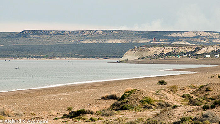 Whale Watching Puerto Madryn - El Doradillo - Peninsula Valdes 