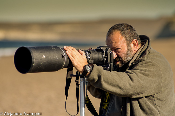 Whale Photographer Whale watching season - Peninsula Valde