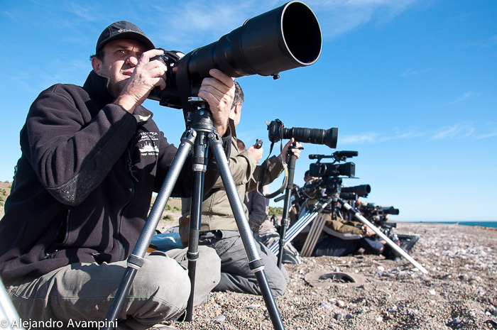 photographer orcas whales - Peninsula Valdes 