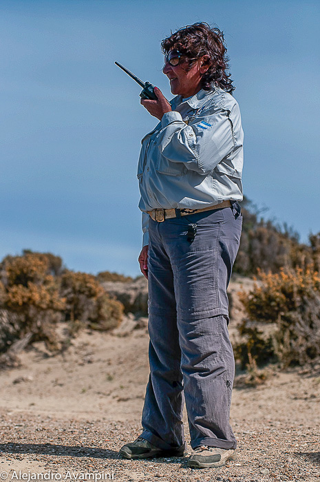 Park Ranger in Punta Norte Orcas - Peninsula Valdes