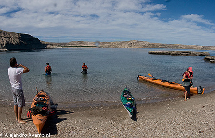 Expeditions Kayaks en Puerto Piramides, Peninsula Valdes.