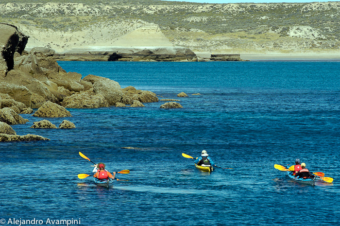kayak aventura en el mar de Península Valdés