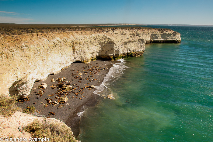 Lobería Punta Loma en Puerto Madryn