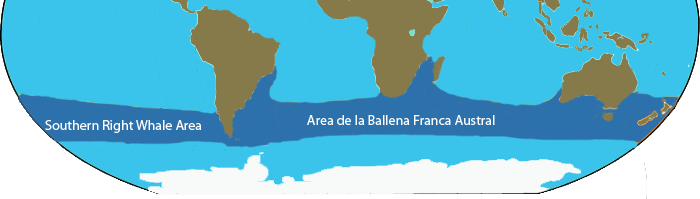 Ballena Franca Austral - Mapa de distribución global