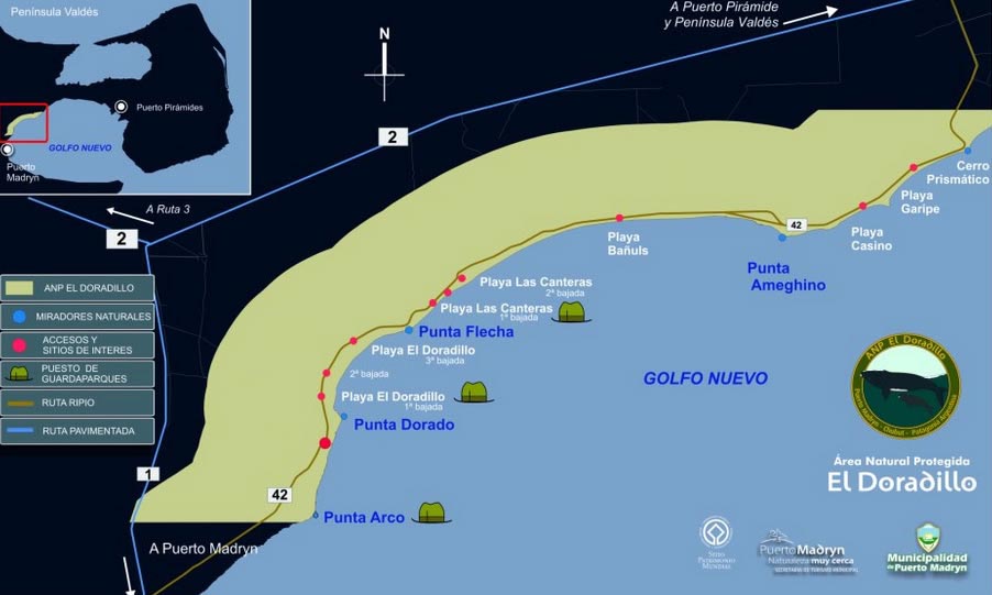 whale watching Maps Puerto Madryn . El Doradillo 