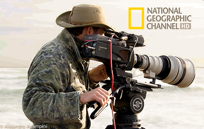 Documentary Filmaker Orca Season National Geographic