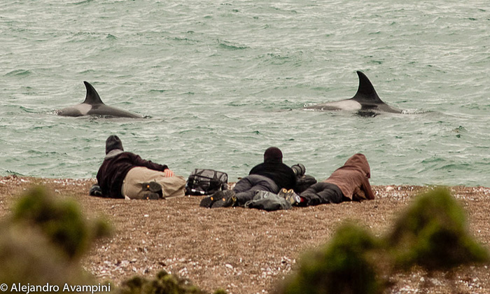 Fotographers in Punta Norte in Orcas Season - Peninsula Valdes