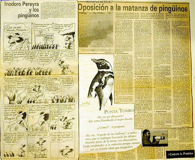 prensa y batalla de los pinguinos en Punta Tombo Patagonia Argentina