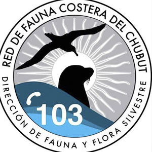 Rescate de fauna costera en Chubut