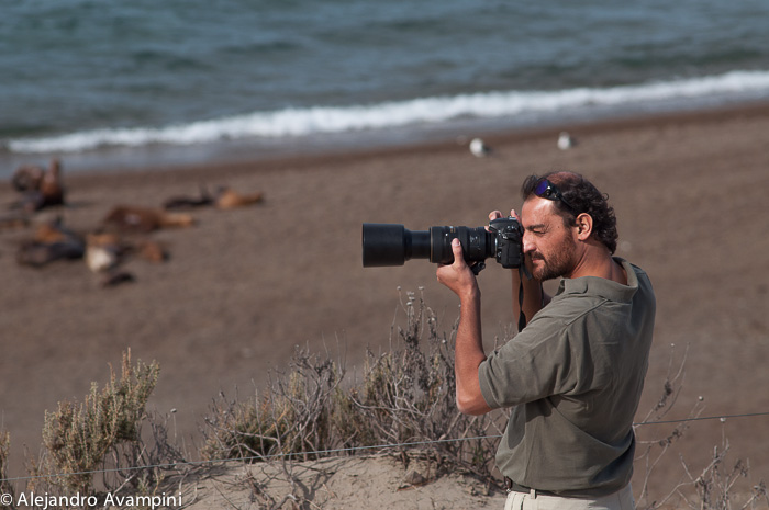 Roberto Bubas in Punta Norte in Orcas Season